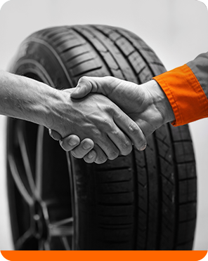 Expertise allopneus.com